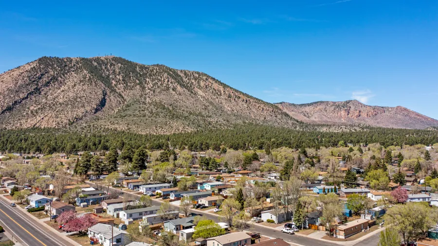 Jo Don in spring with flowering trees and Mt. Elden behind
